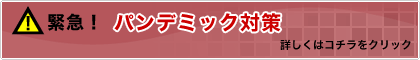 �ً}�I�p���f�~�b�N�΍�